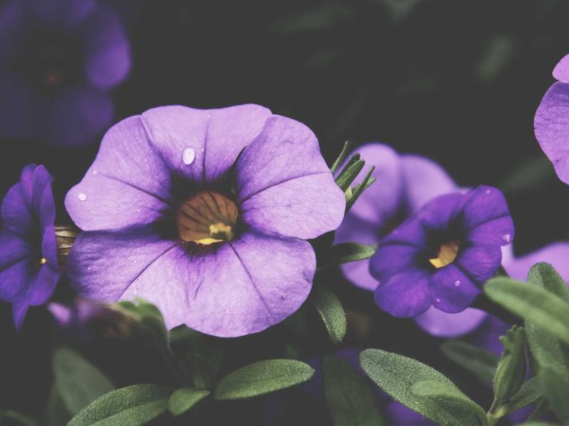 sudoku grid completion screenshot 2